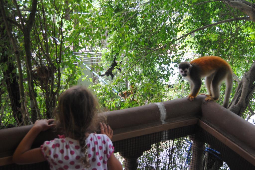 Jungle Beach Hotel Мануэль-Антонио Номер фото