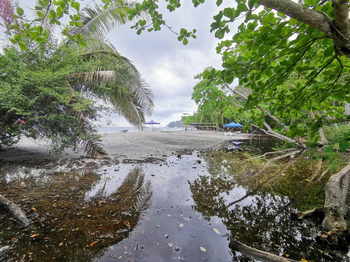 Jungle Beach Hotel Мануэль-Антонио Экстерьер фото